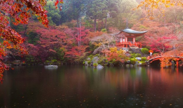 Temple Japonais - Lac au bord d'un temple - Reiki 